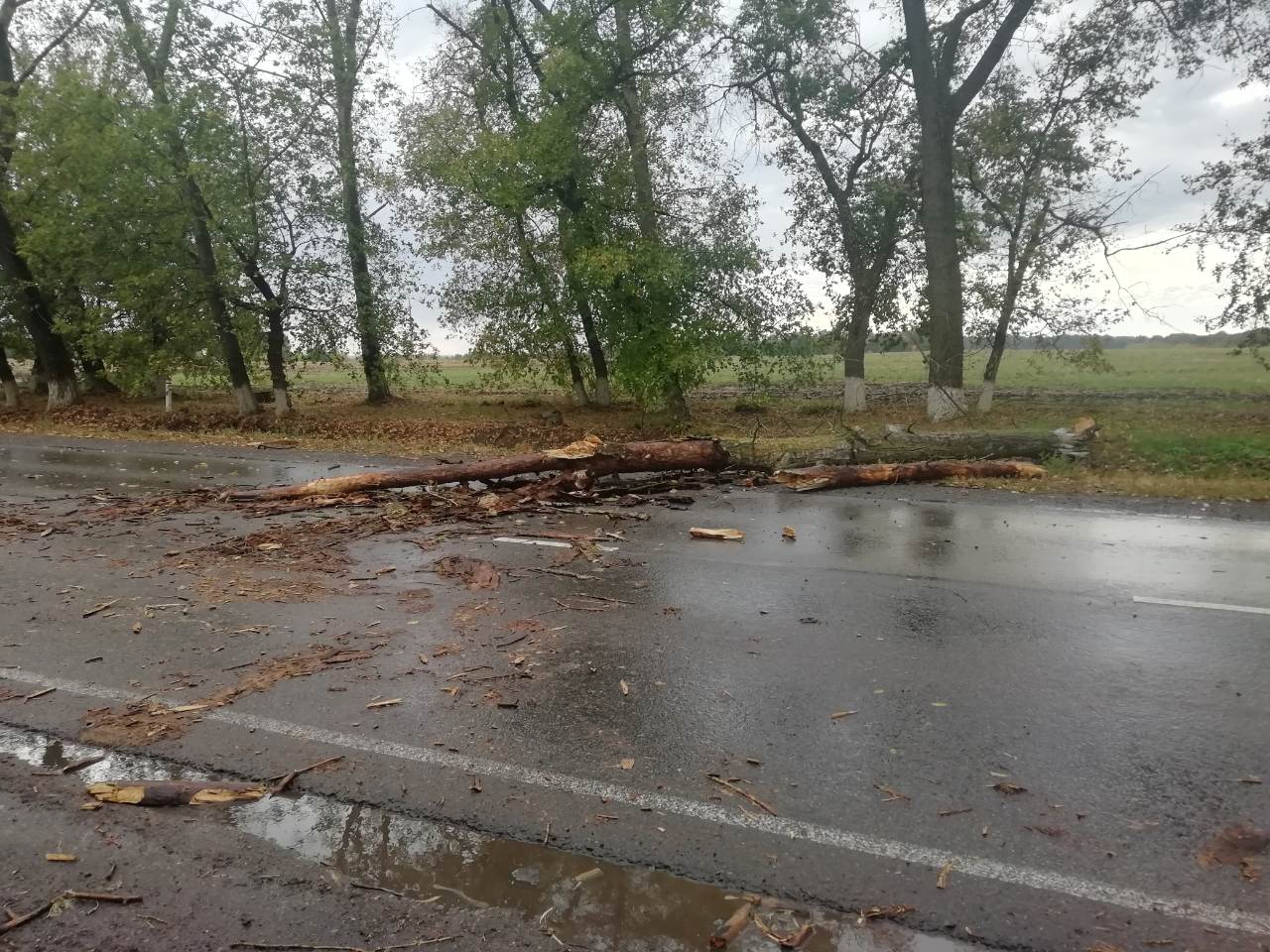 Осадки белгород сегодня. Алексеевка дождь. Последствия урагана в Белгороде. Белгород последствия урагана сегодня фото.