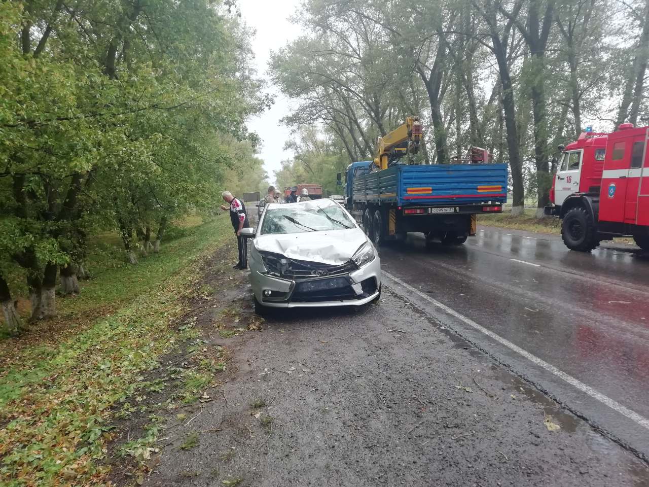 В Белгороде из-за сильного ветра упало несколько деревьев и сорвало кровлю  административного здания. Белгородские новости